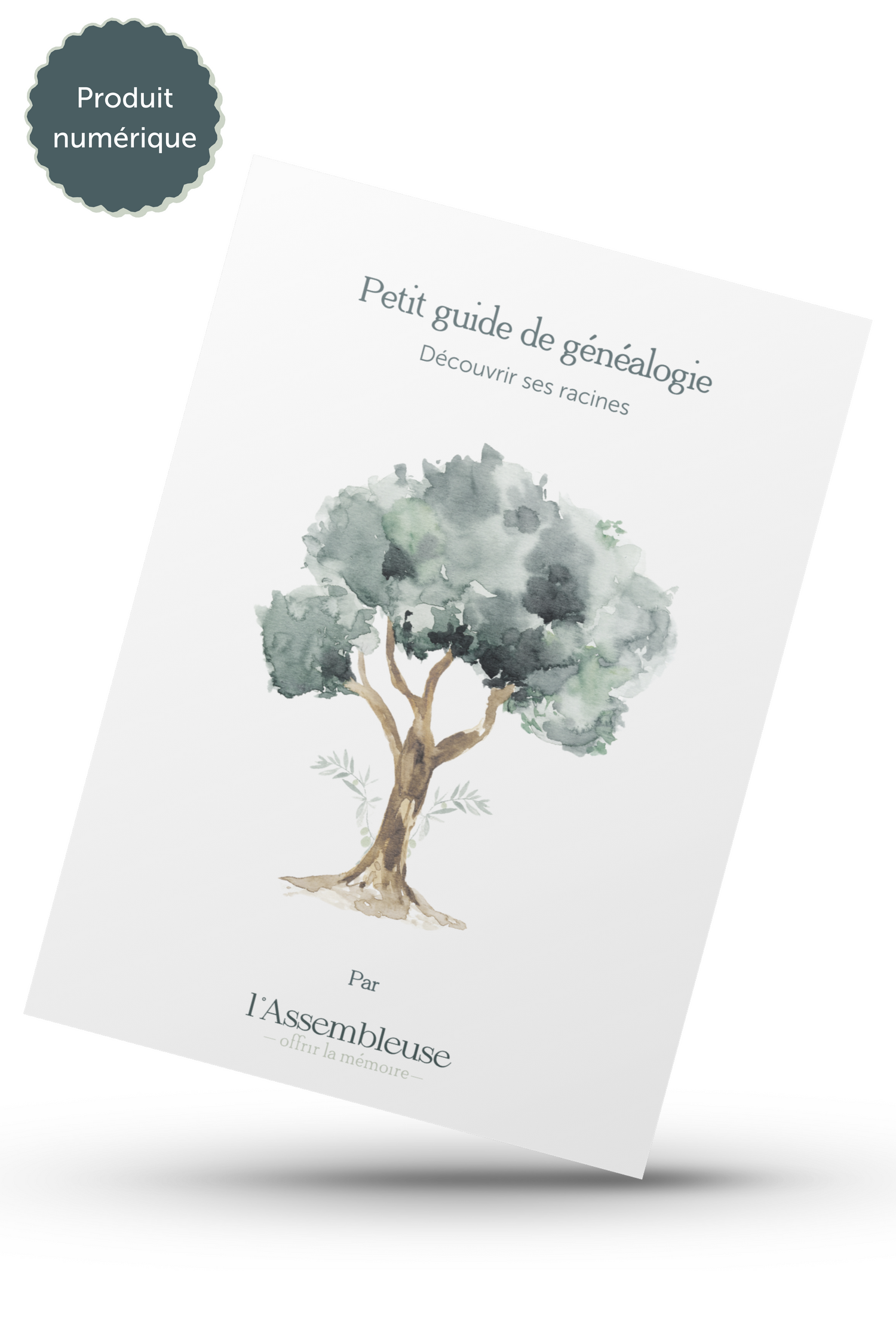 Créer son arbre généalogique soi-même