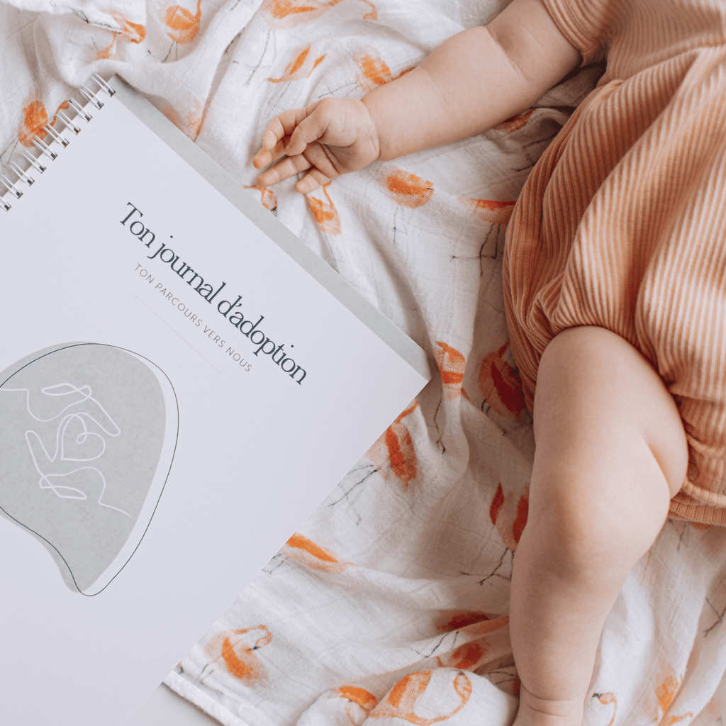 adoption via la banque mixte, adoption au Québec, fausses croyances adoption, mythes adoption DPJ, être maman de cœur