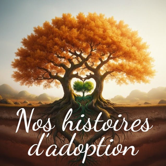 Nos histoire d'adoption