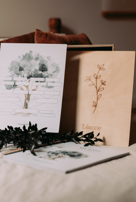 Boîte-souvenirs : Héritage