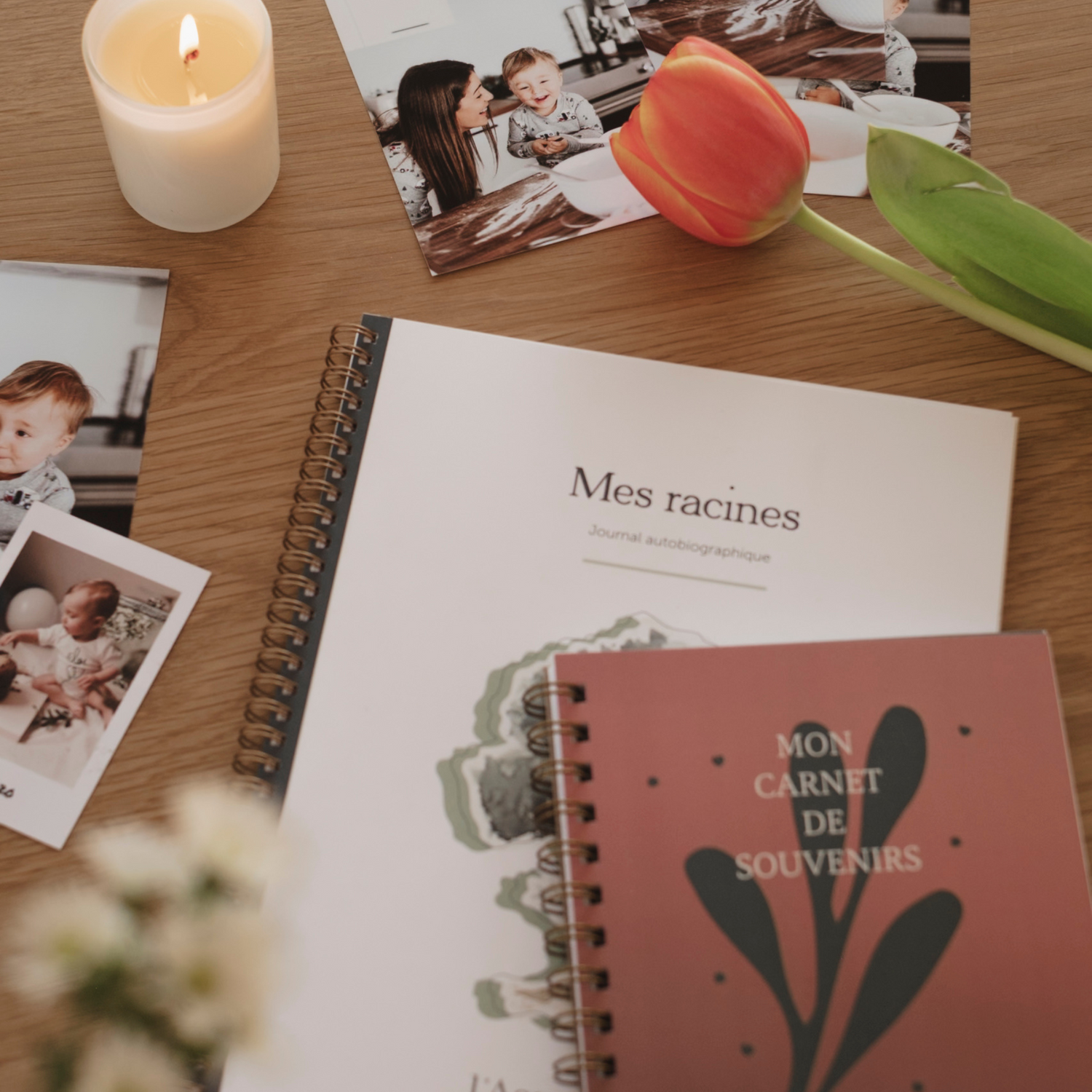 Mes Racines : comment raconter mon histoire