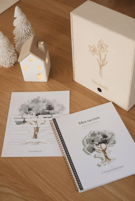 Boîte-souvenirs : Héritage