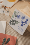 Cartes de souhaits à offrir en cadeau