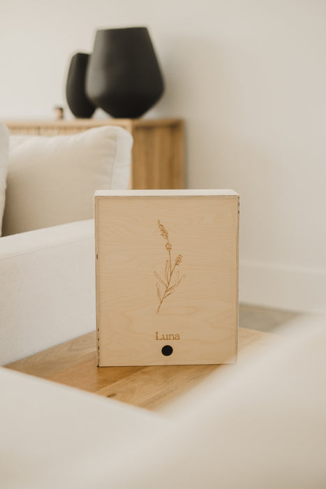 Boîte-souvenirs : Héritage